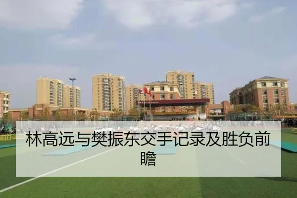 林高远与樊振东交手记录及胜负前瞻 - Yion